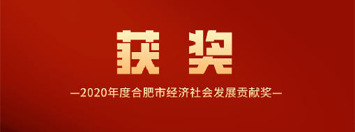 又得一獎(jiǎng)！中水三立喜獲2020年度合肥市經(jīng)濟(jì)社會發(fā)展貢獻(xiàn)獎(jiǎng)