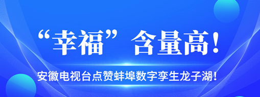 ?“幸福”含量高，安徽電視臺點贊蚌埠數(shù)字孿生龍子湖！